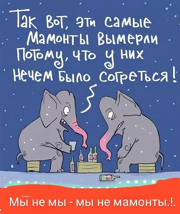 Большая тарелка улыбатора