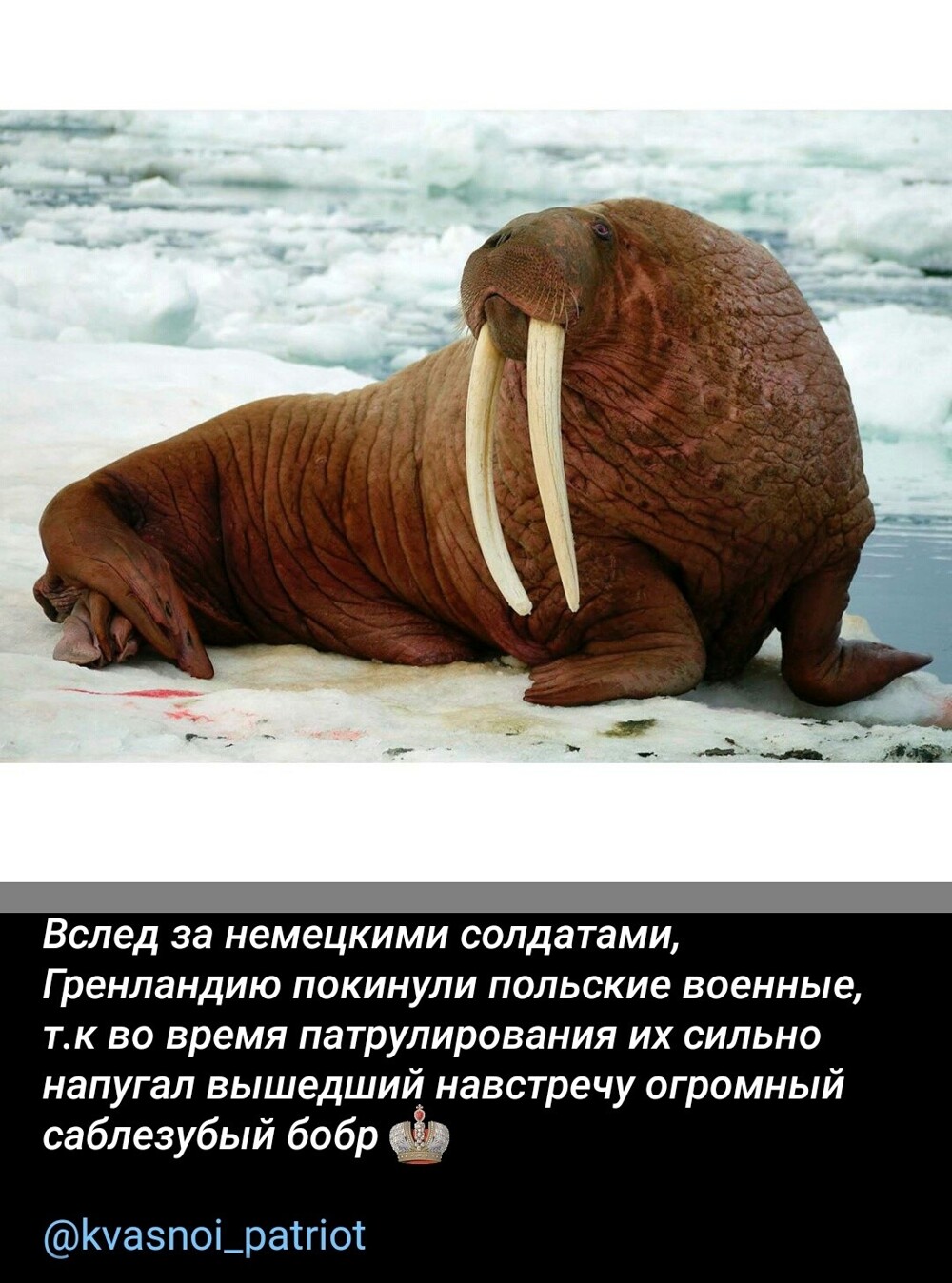 Лишь о политике вечером в пятницу