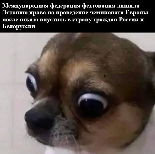 Лишь о политике вечером в пятницу