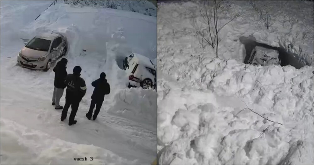 День сурка на Камчатке