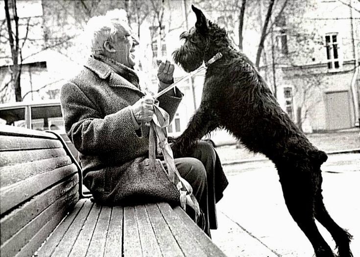 9. Юрий Никулин и его четвероногий друг явно довольны прогулкой