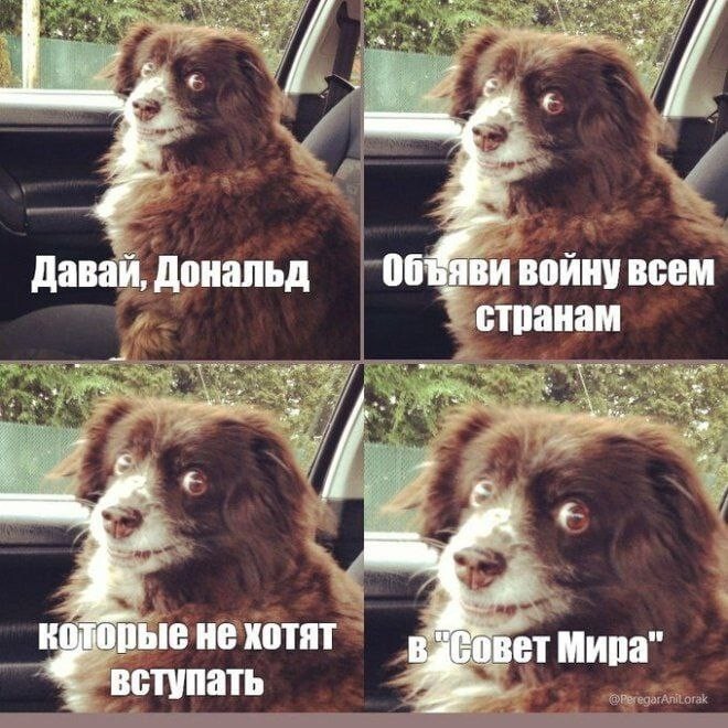 Политика и