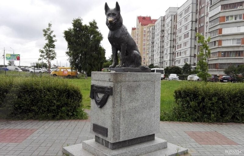 Бронзовые герои: Памятники, посвященные безусловной верности