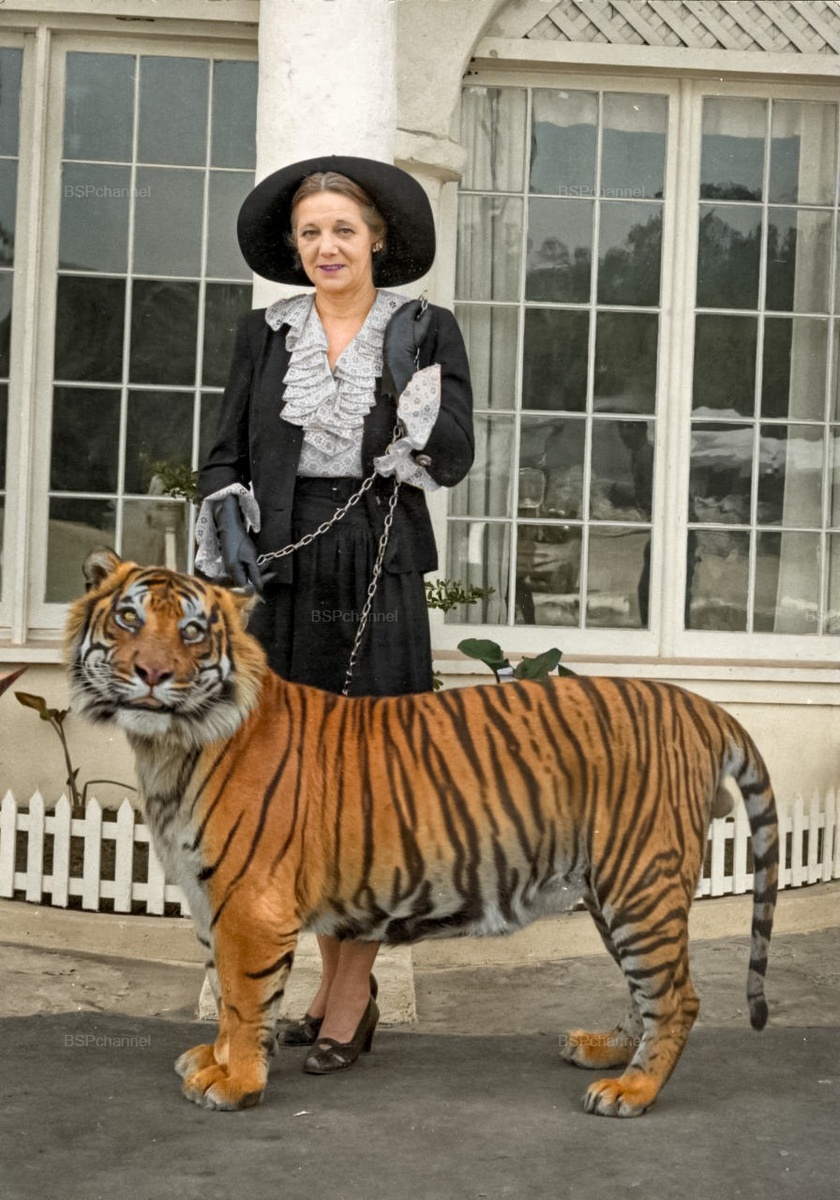 Подборка фотографий из прошлого, которые заставляют удивиться