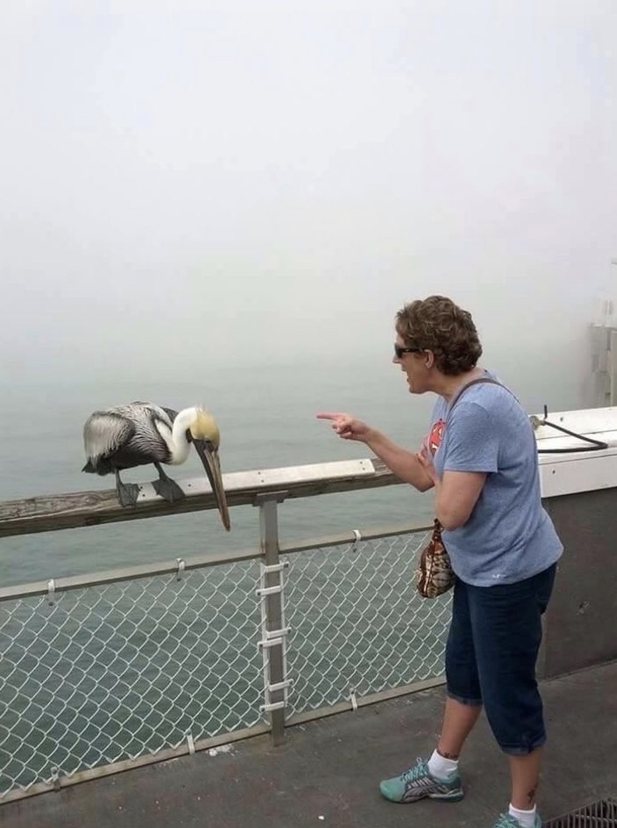 16 доказательств, что у бабушки найдется решение в абсолютно любой ситуации