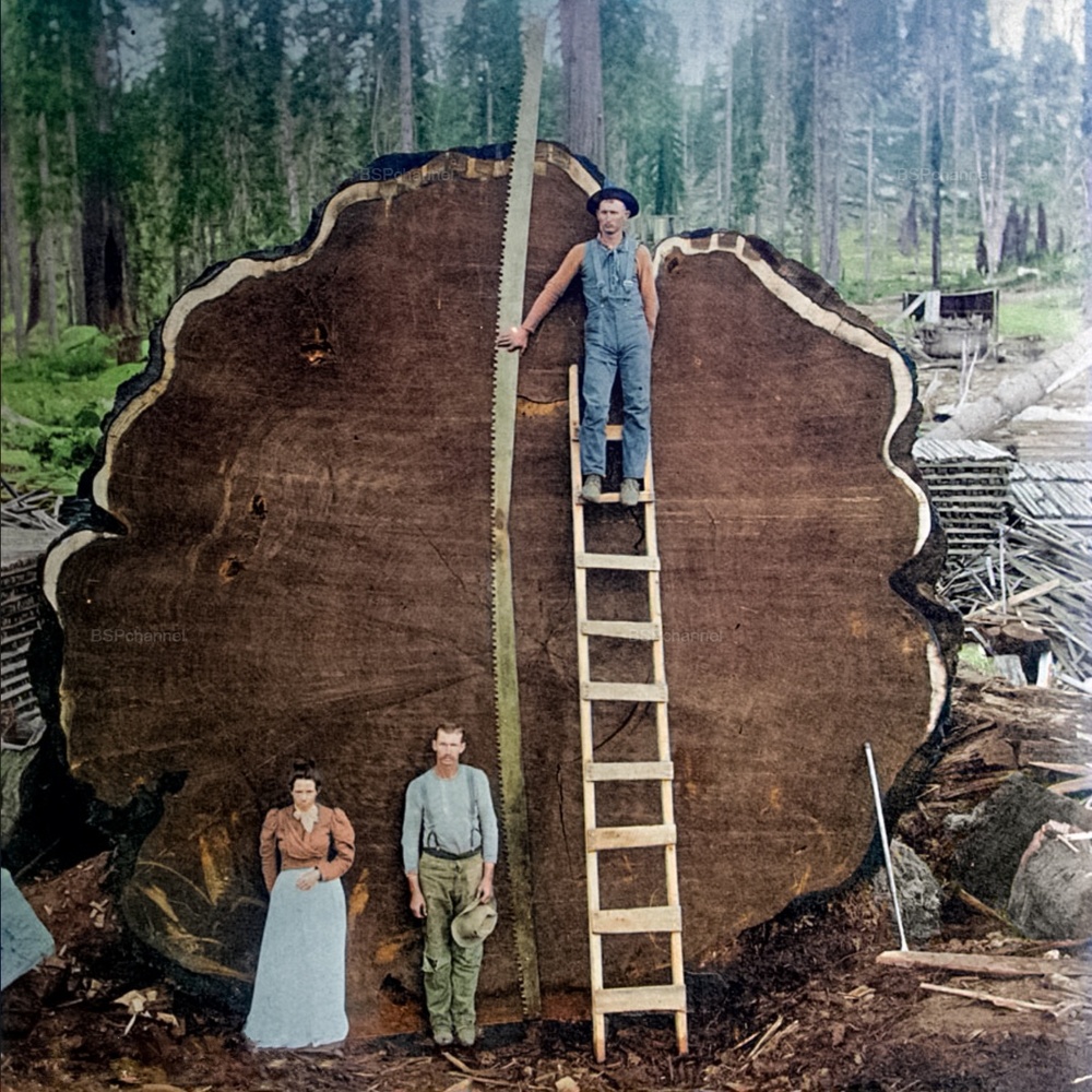 Подборка фотографий из прошлого, которые заставляют удивиться