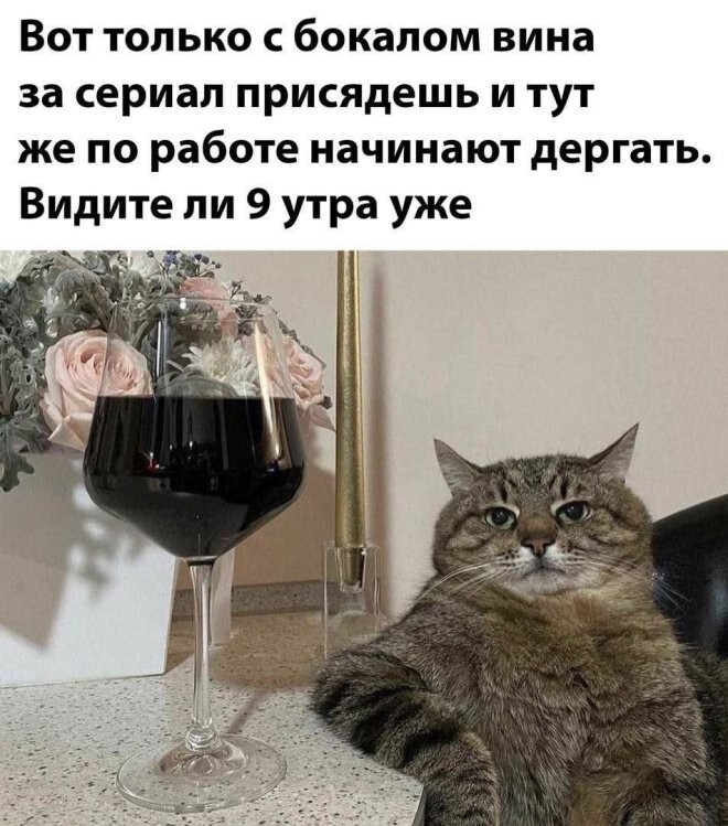 Смешные картинки