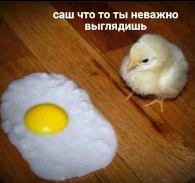 Смешные картинки