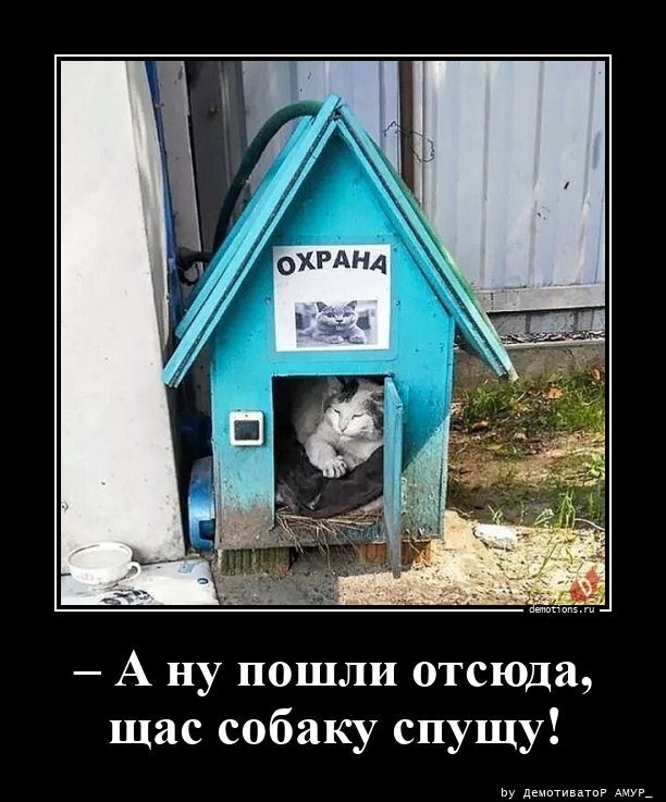 Прикольные демотиваторы