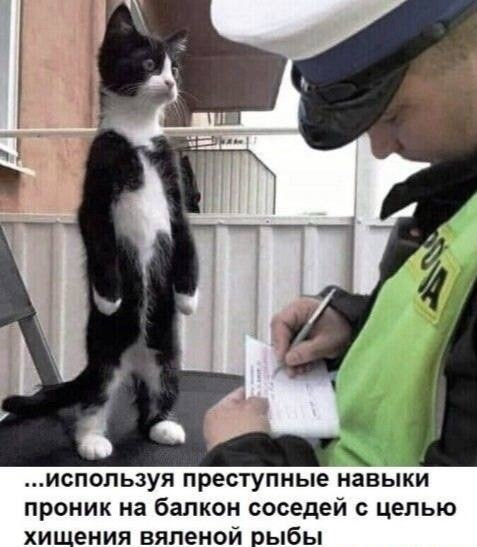 Тарелка улыбатора
