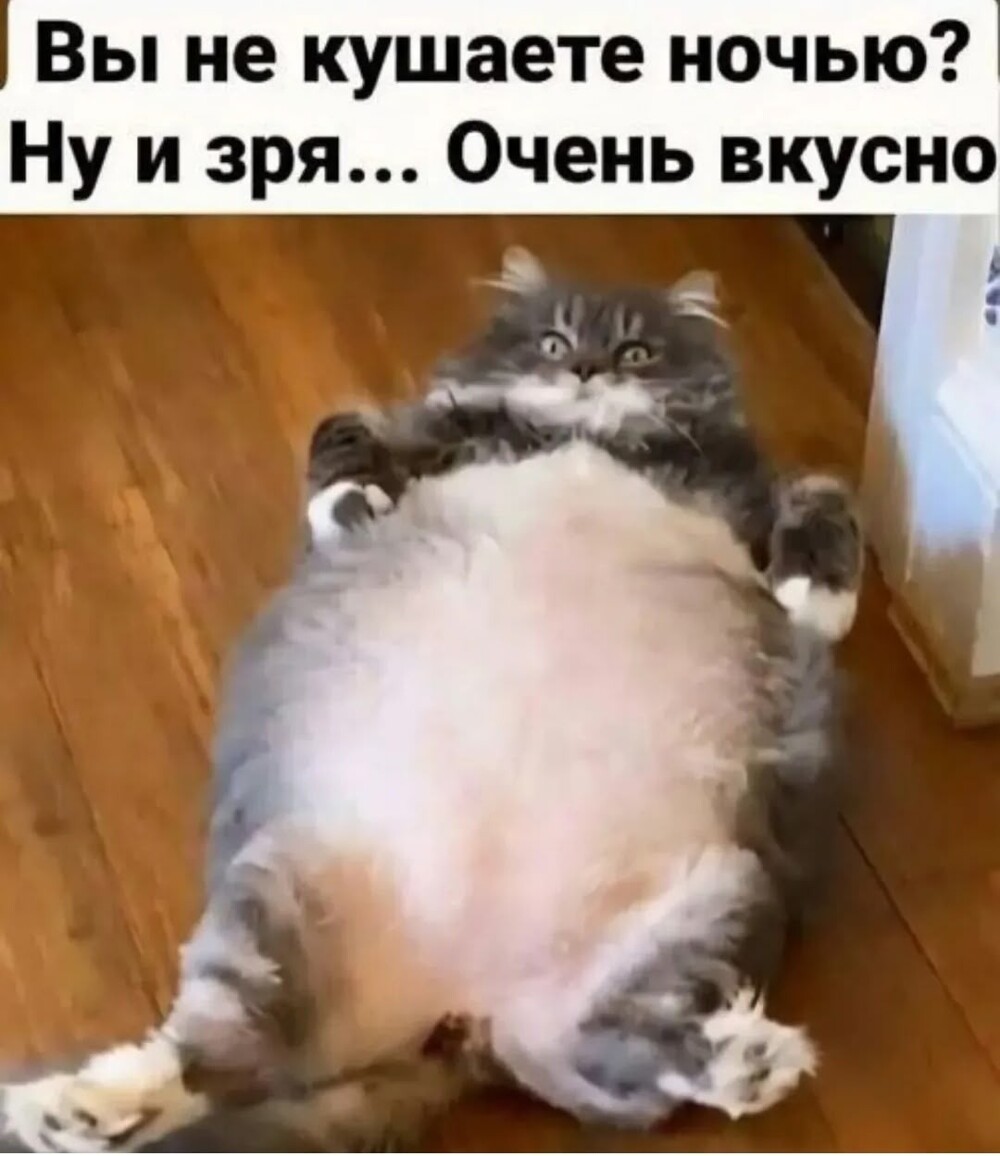Тарелка улыбатора