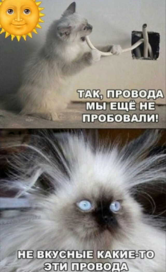 Тарелка улыбатора