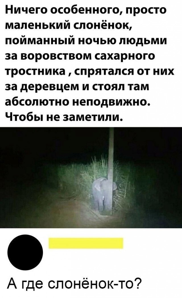 Тарелка улыбатора