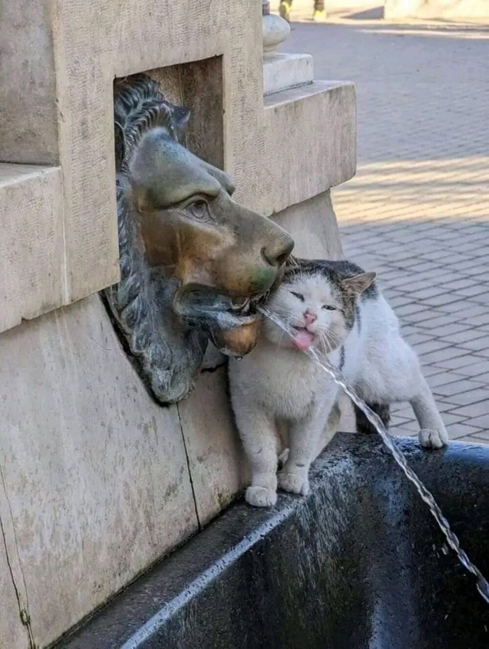 На общую тему&nbsp;