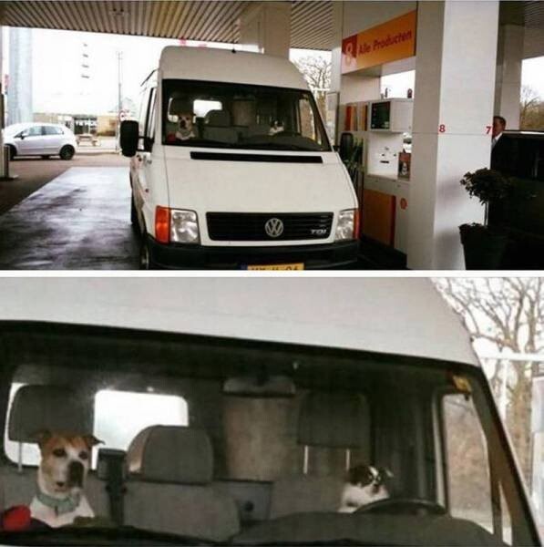 Намешалось&nbsp;