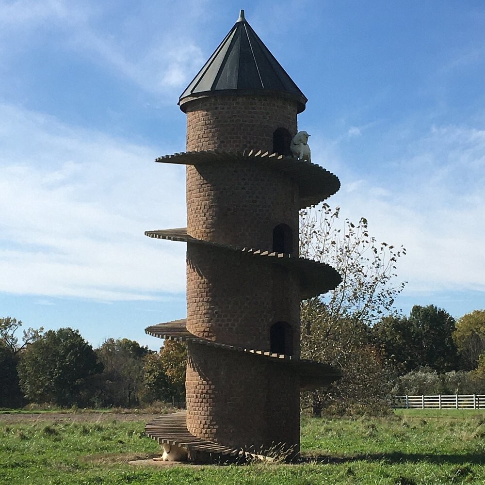 Тайная башня козьей радости в Иллинойсе