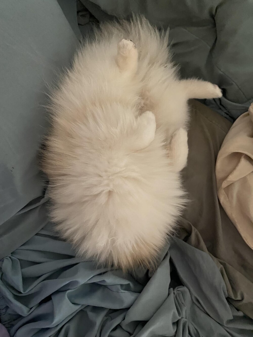 16. Это что-то безначальное или бесконечное?