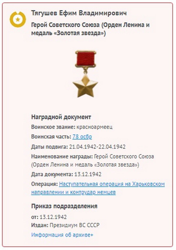 Люди из стали. Ефим Тягушев