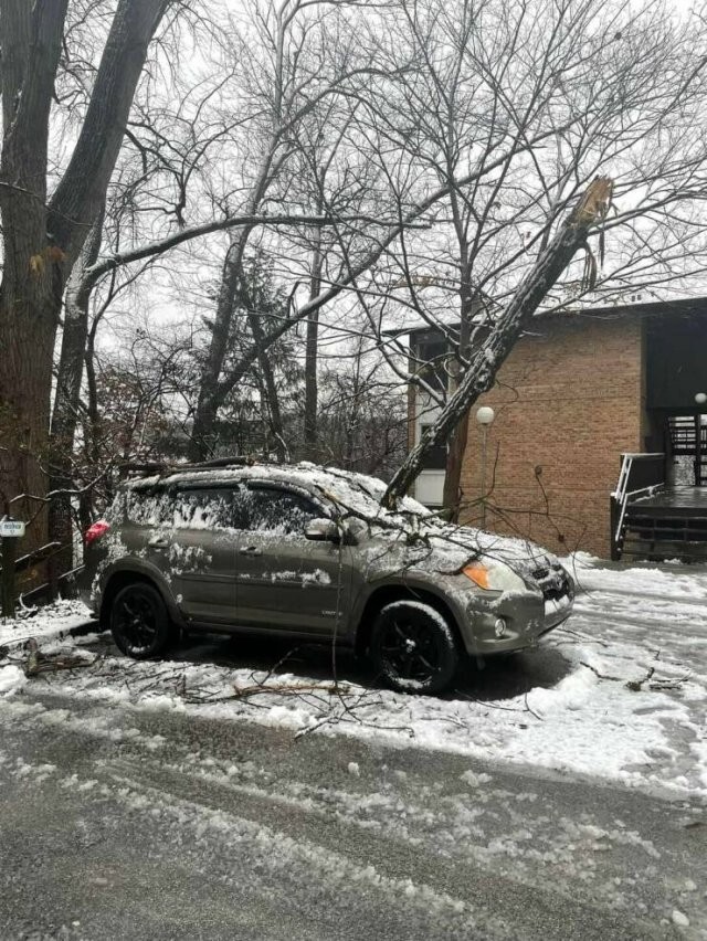 Намешалось