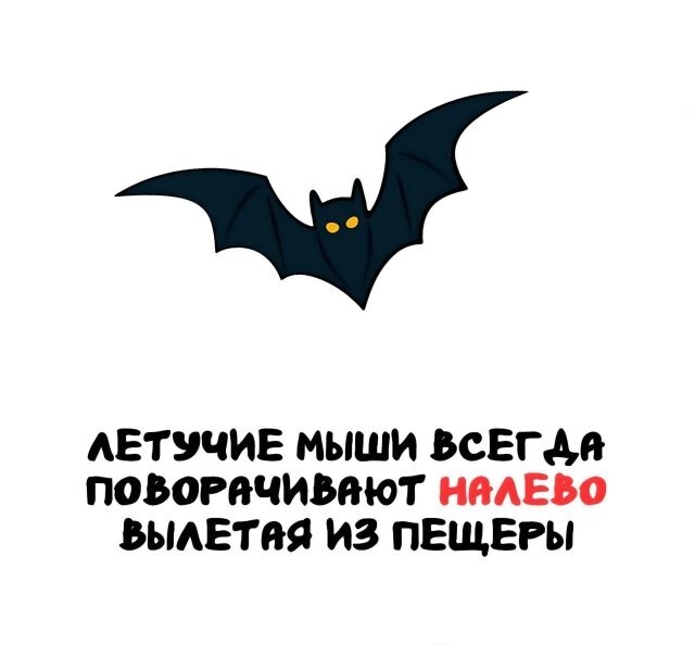 А вдруг ты не знал…