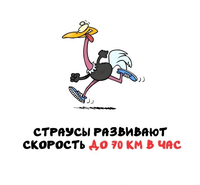 А вдруг ты не знал…