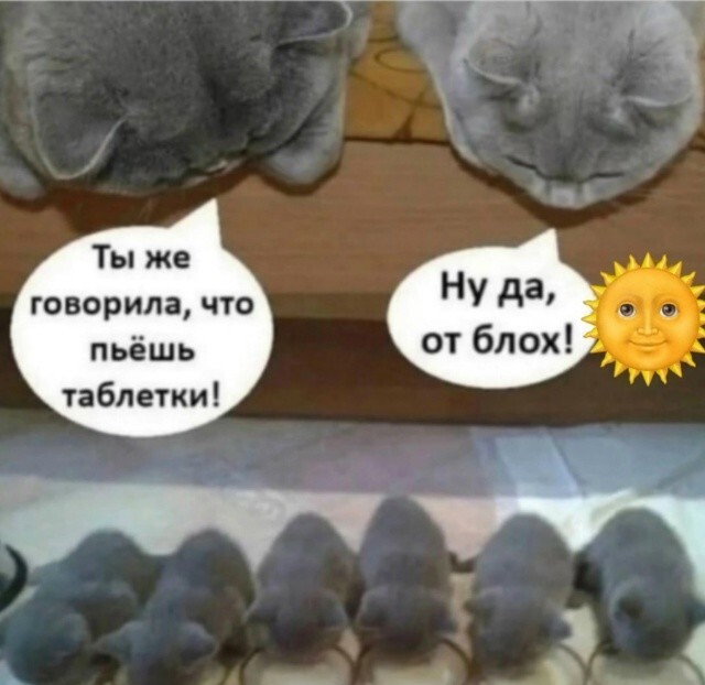 Большая миска улыбатора