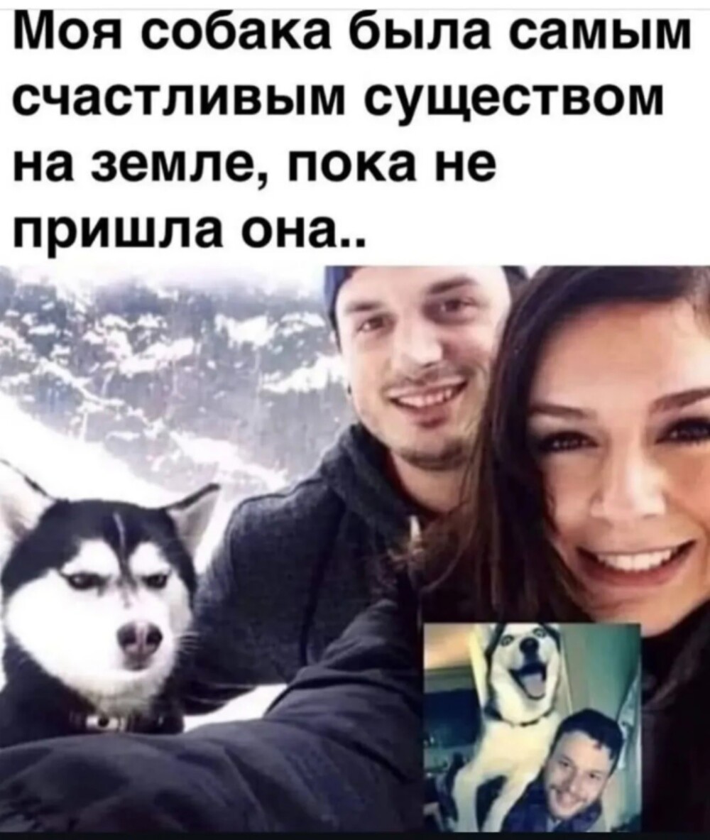 Большая миска улыбатора