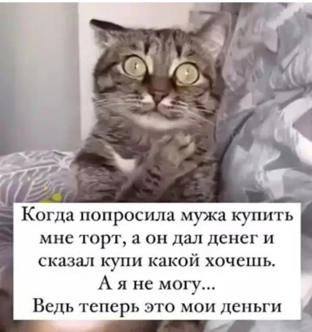 Большая миска улыбатора