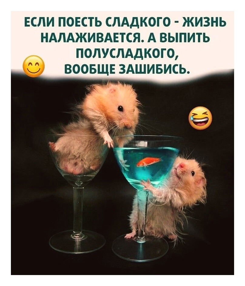 Большая миска улыбатора