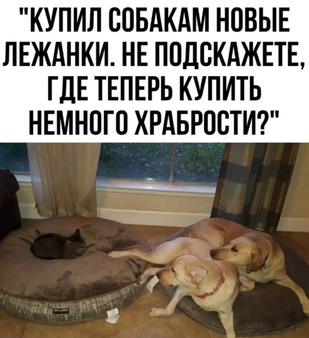 Большая миска улыбатора