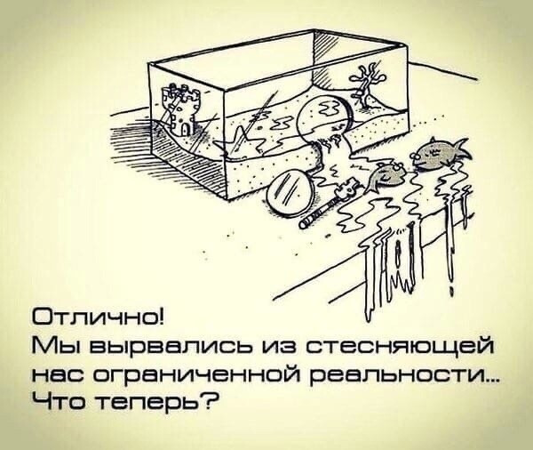 Большая миска улыбатора