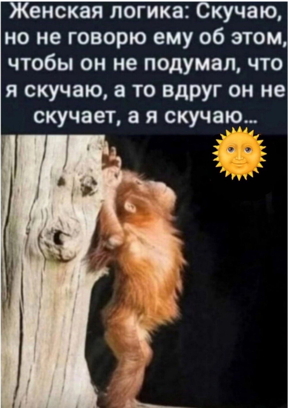 Большая миска улыбатора