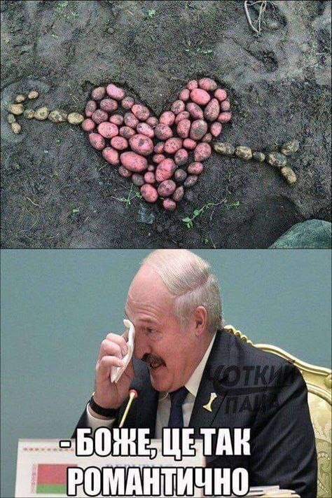 Смешные картинки