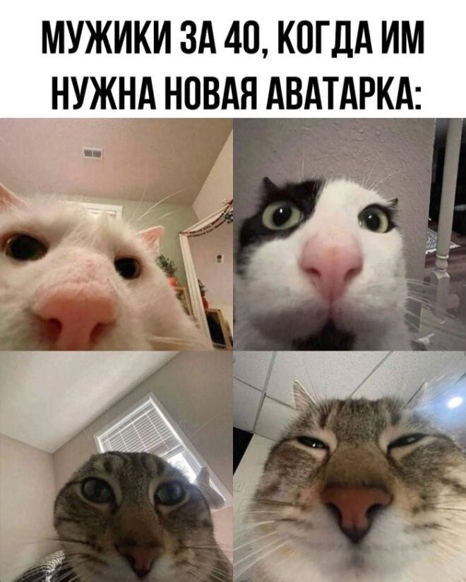 Смешные картинки