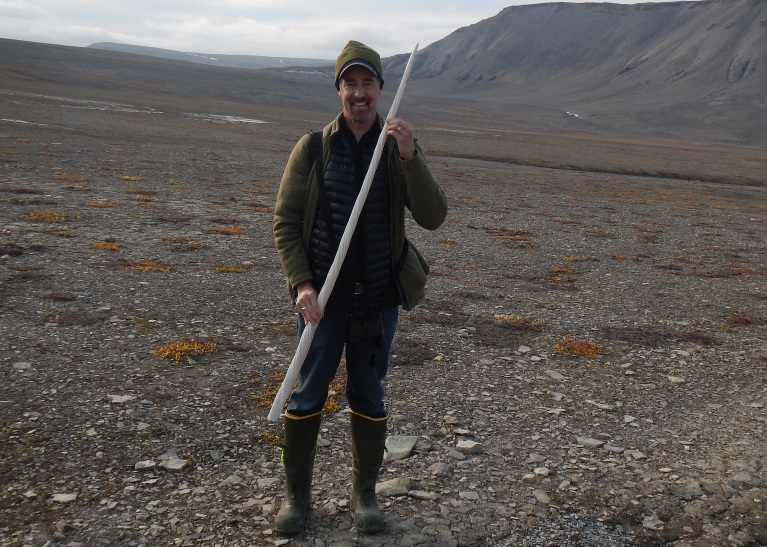 Нарвал: бесполезная палка или волшебный посох?