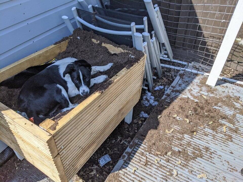 12. «Вчера закончили посадку семян»