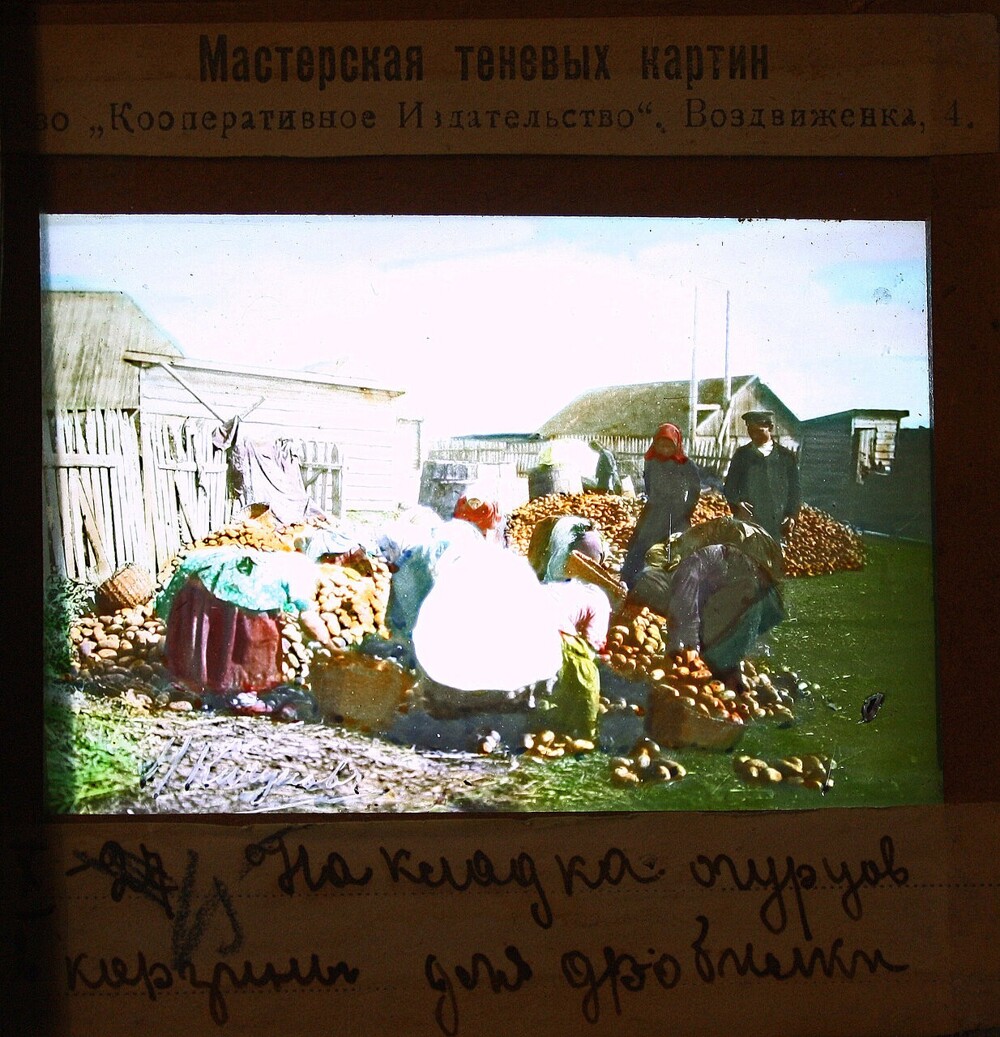 Накладка огурцов в корзины для дробилки