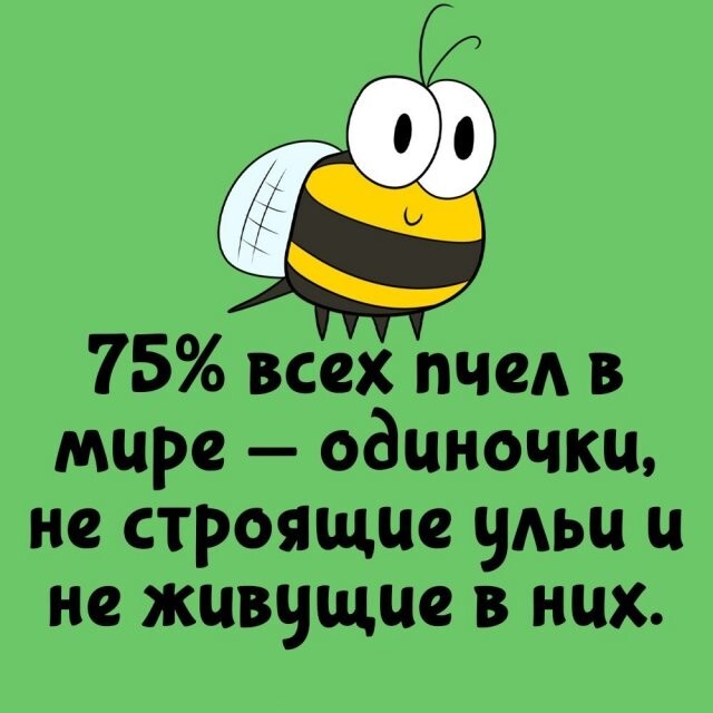 А вдруг ты не знал…