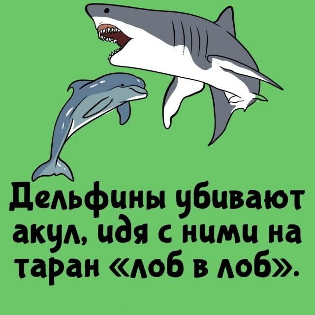 А вдруг ты не знал…