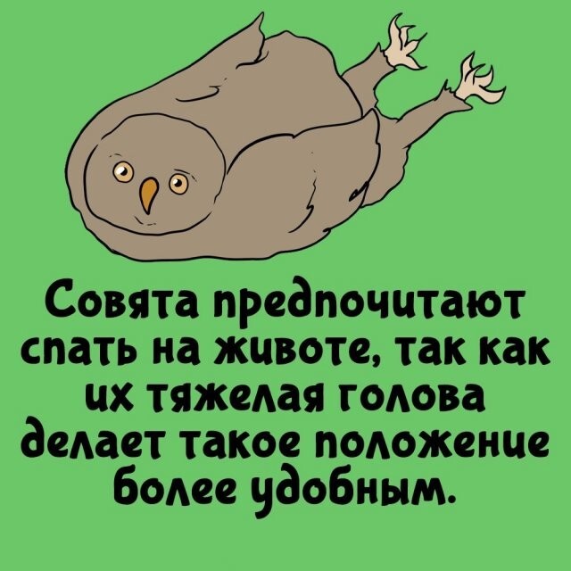 А вдруг ты не знал…