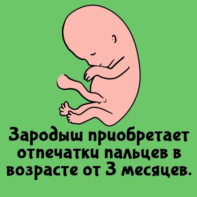 А вдруг ты не знал…
