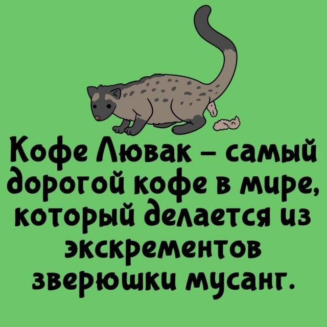 А вдруг ты не знал…