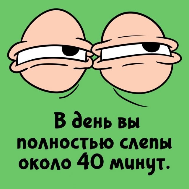 А вдруг ты не знал…