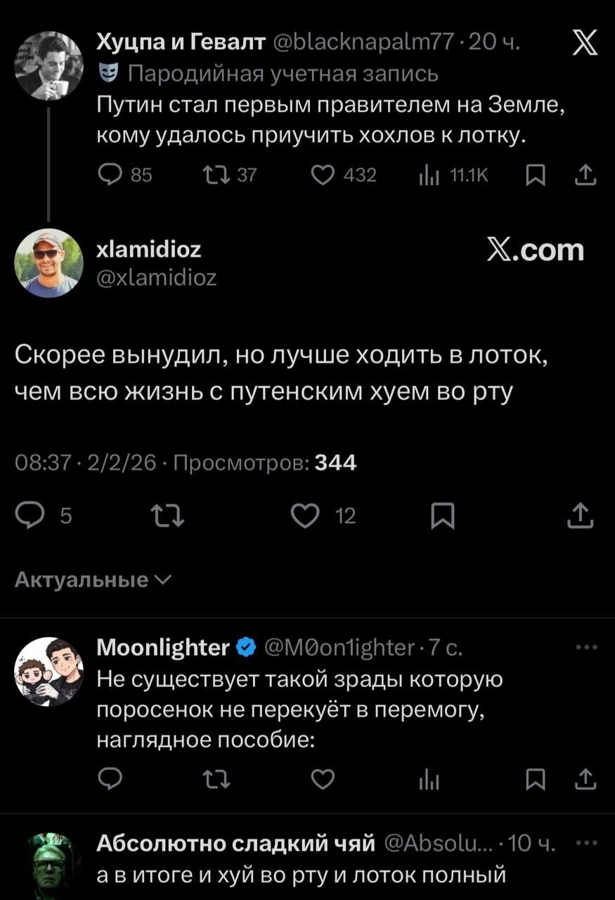 Лишь только о политике