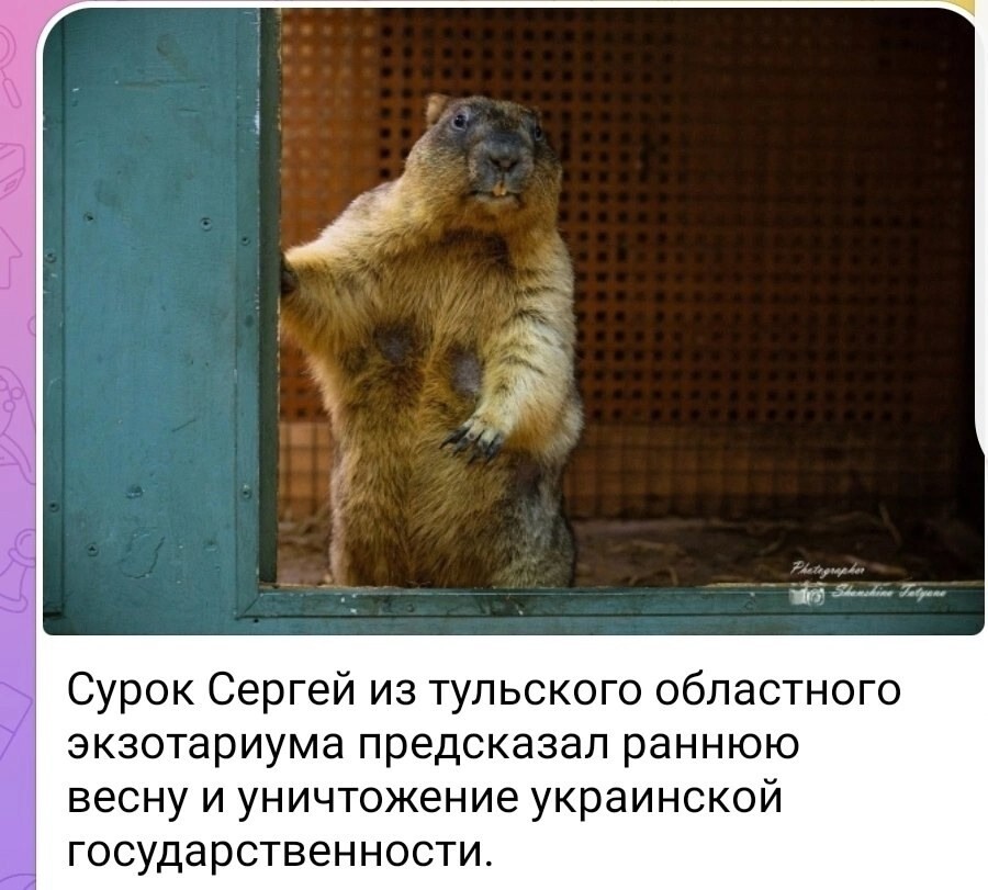 Лишь только о политике