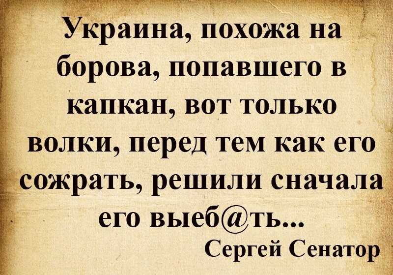 Лишь только о политике