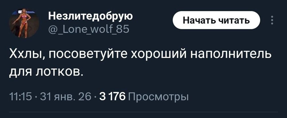 Лишь только о политике