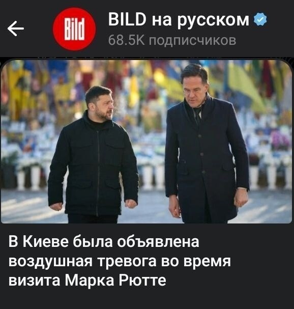 Для полноты программы Марку Рютте предоставили кошачий лоток и жаренный кирпич