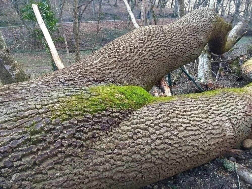 На общую тему&nbsp;