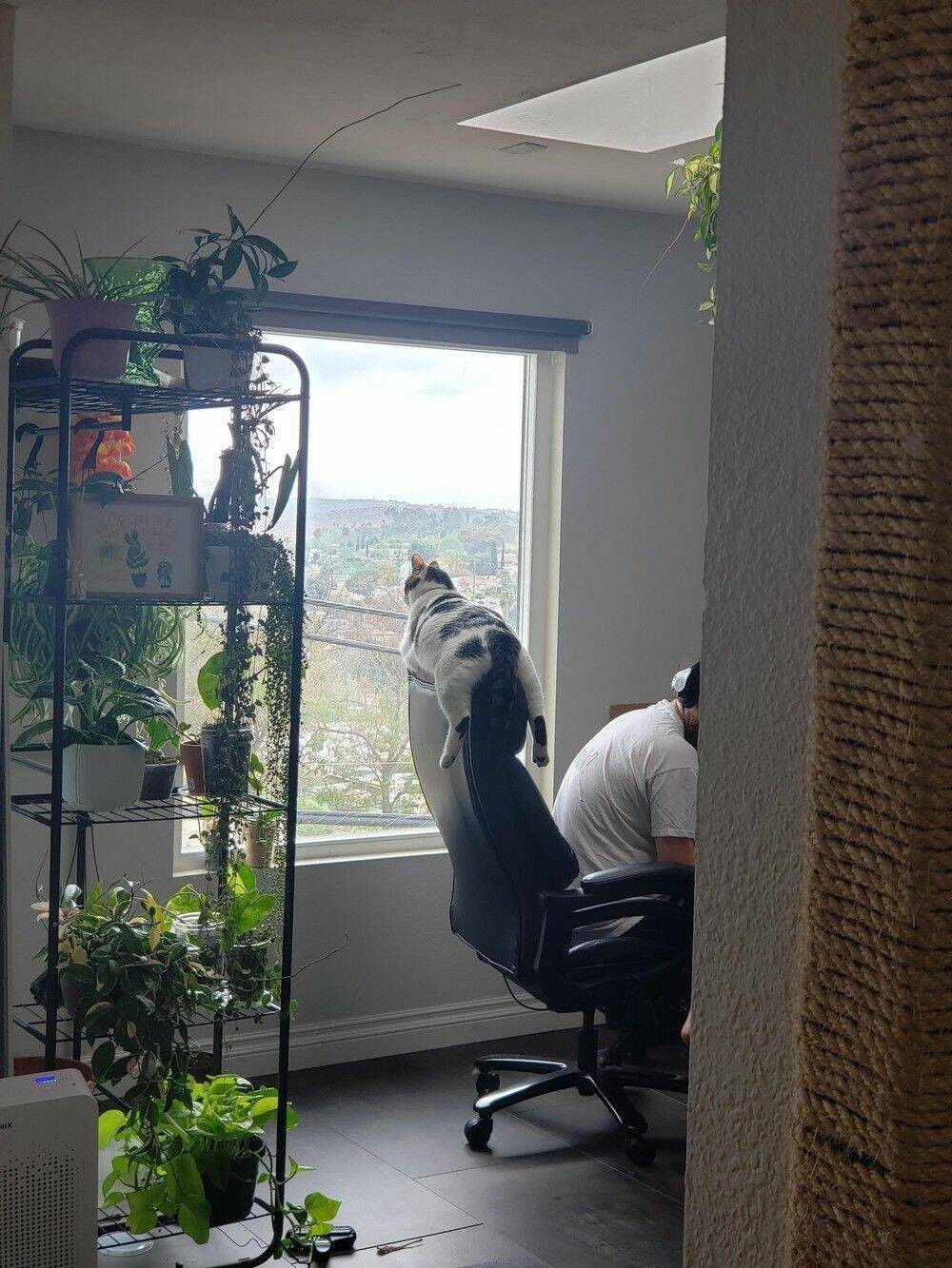 На общую тему&nbsp;